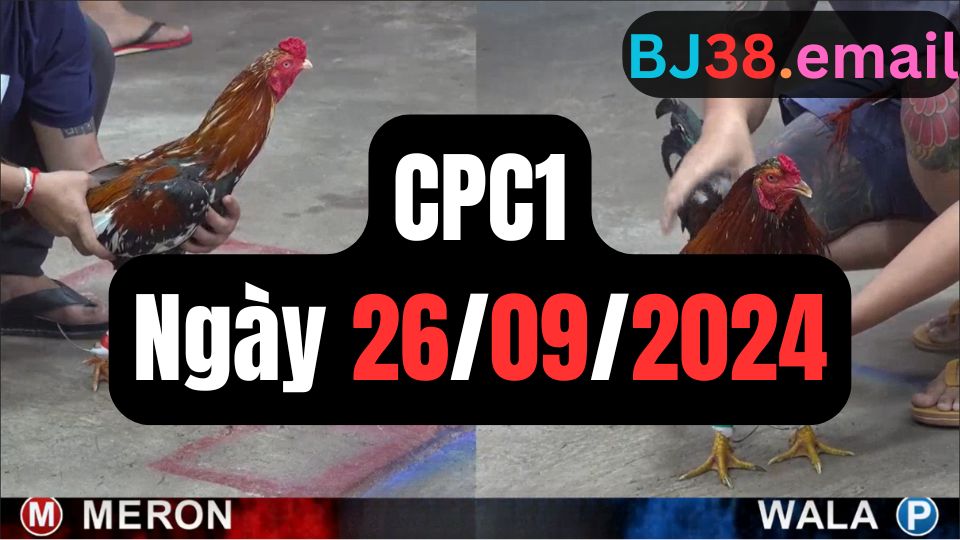 Đá gà thomo hôm nay CPC1 date 26/09/2024